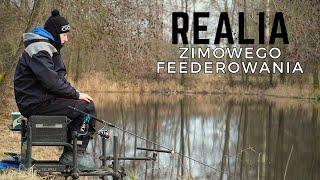 Realia zimowego feederowania
