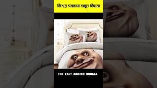 বিশ্বের সবচেয়ে অদ্ভুত কিছু বিছানা  | #funny #shorts #youtubeshorts #shortvideo #viral #trending