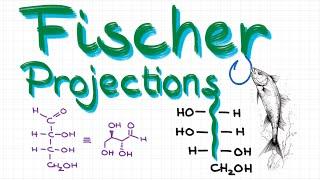 An EASY Way to Convert Fischer Projections into Bond Line Structures and Back