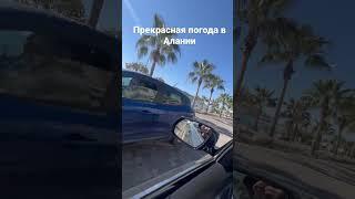 Прекрасная погода в алании#турция #алания #аланья