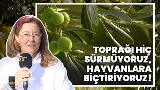 Toprağı Hiç Sürmüyoruz, Hayvanlara Biçtiriyoruz! / "Tamamen Organik Tarım Yapıyoruz"