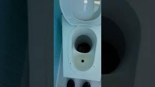 Baño seco inodoro separador ecológico quinta región de Chile.