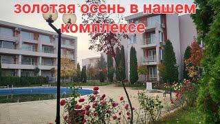 Жизнь в Болгарии осенью | наш комплекс