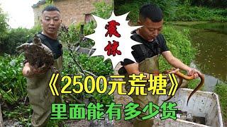 合夥包下壹口2500元的荒塘，裏面能有多少貨  ？#戶外 #鄉村生活 #新農人計劃#小飛哥#包塘#抓魚vlog