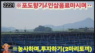 ※내일의행복.여기있습니다 #강화도토지 #강화도땅 #강화도농막 #강화도부동산 #강화도전원주택 #강화도농가주택 #김포토지 #강화농지 #부성부동산Tv