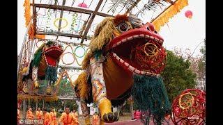 Lion dance for Chinese New Year | CCTV English