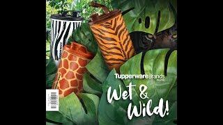 Tupperware Malaysia (15 April -  18 May 2019)