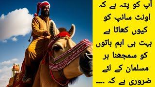 Unth Sanap Q Khata Hai By Rah E Amal with hindi sustitle hindi cc