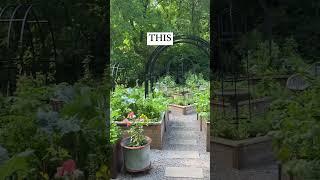 Who needs a lawn when you can have a kitchen garden‍️ #garden #landscaping #kitchengarden