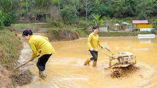 Use Small Plows To Improve The Soil In Preparation For The New Rice Crop. My Bushcraft / Nhat