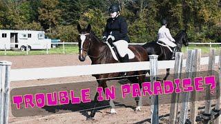 Her Very First Fair Horse Show!