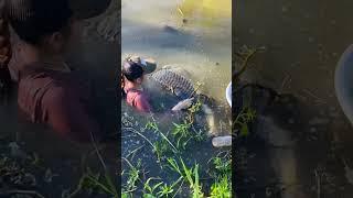 fishing videos minnesota #fishing #fish #net #fishingvideo