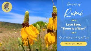 Rumi - Love Says, There Is a Way! - (In Persian and English)