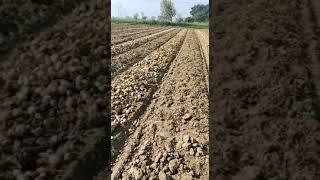 Arun Vashisth Farm Kasison(3)