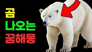 곰 나오는 꿈 꿈해몽 총정리