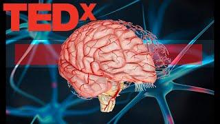 Фокус внимания, или почему наш мозг ленив | Илья Мартынов | TEDx Youth