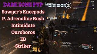 Shoot at the Crowd I The Division 2 I Dark Zone PvP