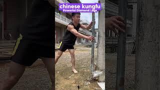 The powerful Vajra Leg is so powerful! #kungfu