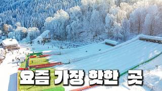 겨울만 되면 인스타에서 난리나는 곳 또 다녀왔습니다. 아이들부터 어른들까지 모두 만족하는 이곳에 다녀와보세요! ️