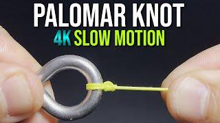 How to Tie a PALOMAR KNOT! | "Knot Easy!" Series | Fishing Knot Tutorial