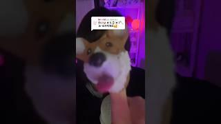 이모지챌린지 #asmr #틱톡