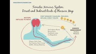 Direct Route of Touch - Direct Pleasure