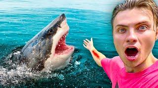 A Shark ATTACKED Me!