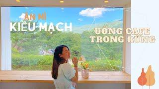 [ĂNG Ở HÀN QUỐC - VLOG - 브이로그] ĐI GANGWONDO ĂN MÌ KIỀU MẠCH & MỘT CHÚT CHILL QUÁN CAFE TRONG RỪNG