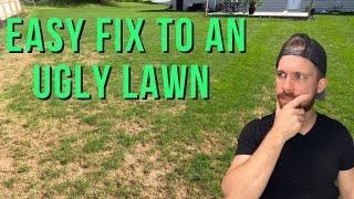 How To Fix Bare Areas In The Lawn