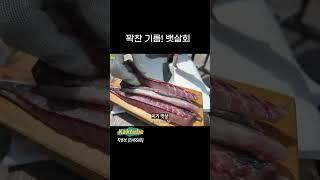 13/14 3시간동안 쉴틈없이 올린다!! 남해 터졌다터져!!!  #낚시 #바다