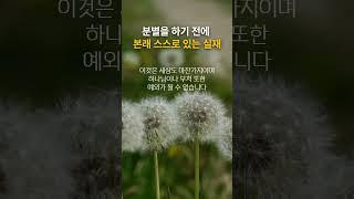 분별을 하기 전에 본래 스스로 있는 실재