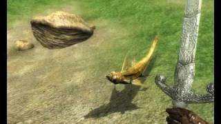 TES4 Oblivion - Wild Land Slaughterfish appeared!