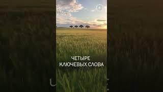 #БлагоВест  ЧЕТЫРЕ КЛЮЧЕВЫХ СЛОВА