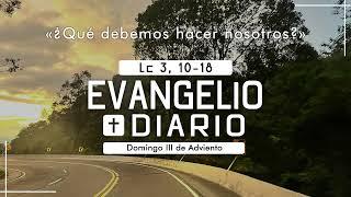 Evangelio Domingo 15 de Diciembre del 2024 Padre Manuel Penagos