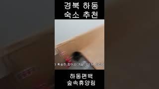 10만원이면 숲 전체가 내꺼!? / 숲속에서 힐링하고 싶으신분 꼭 오세요 / 경북 하동 가성비 좋은 숙소 편백휴양림 #shorts