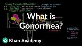 What is gonorrhea? | Infectious diseases | NCLEX-RN | Khan Academy