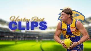 FREE HARLEY REID CLIPS TO USE IN AFL EDITS AND VIDEOS