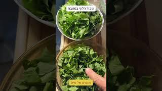 ‏עיבוד ובישול￼ לוף