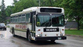 Detroit Diesel Series 50 - Beaver Bus Lines 1992 NFI D40 no. 73 shortly after departing from SJR