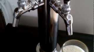 Danby Kegerator Build