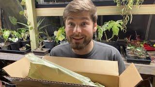 Wishlist Plant Unboxing! 🪴 (Plant Haul from the Green Escape)