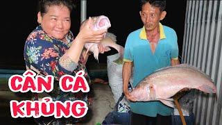 Bao Nhiêu Cá Gom Vô Đây Hết , Màn Cân Cá Vui Quá | #66TV #fishing