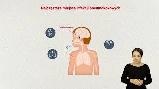 PneumoOnko program szczepień przeciwko pneumokokom dla mieszkańców Warszawy (TŁUMACZ MIGOWY)