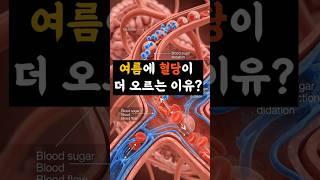 여름에 혈당이 더 오르는 이유 1화 #당뇨 #당뇨병 #당뇨관리 #혈당조절 #당뇨예방 #당뇨#혈당관리 #쇼츠