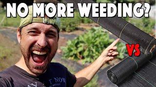 Weed Barrier Fabric Review | A GAME CHANGER For Our Garden! | DeWitt vs. EcoGardener vs. Scotts