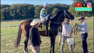 World Record Holder Cogburn vs. Breeders' Cup Champ Nobals in 2024 Turf Sprint Stakes