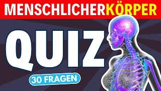 Quiz Menschlicher Körper: Teste dein Wissen beim Anatomie Quiz mit 30 Fragen!