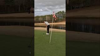 Birdie #90 of 2024 - 2 on 4! #birdie #labputter #golfshort #golfvideo