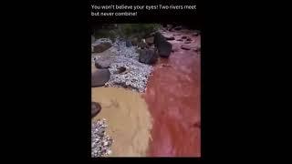 Why Some Rivers Don't Mix – The Science Behind This Natural Phenomenon!