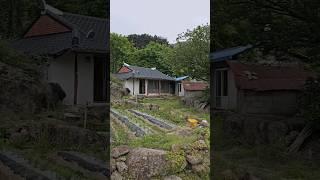 3500만원 사시사철 맑은 1급수가 마르지 않고 내려오는 계곡 옆 시골주택매매! 암자터 추천 깊은산속 #인생부동산 #시골주택매매